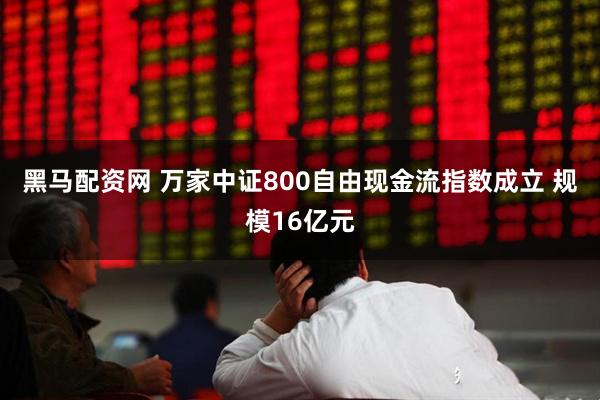 黑马配资网 万家中证800自由现金流指数成立 规模16亿元