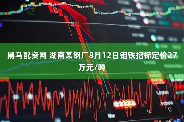 黑马配资网 湖南某钢厂8月12日钼铁招标定价27万元/吨