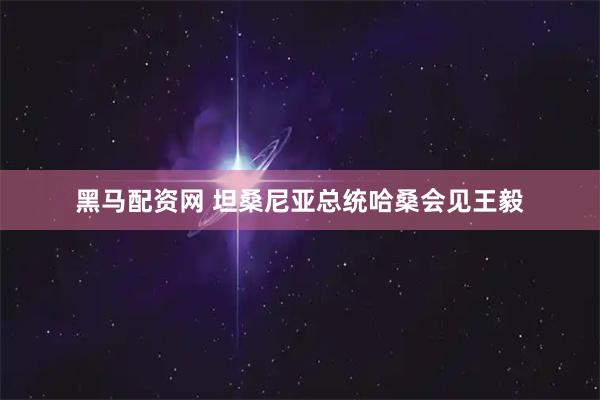 黑马配资网 坦桑尼亚总统哈桑会见王毅